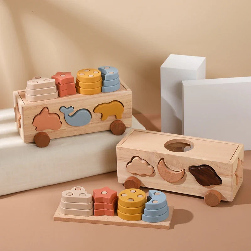 Woods™ - Playful Sorting - Sorting Game