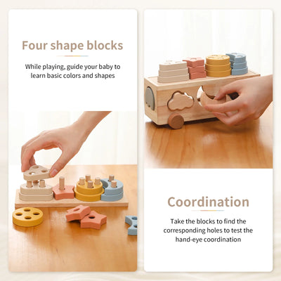 Woods™ - Playful Sorting - Sorting Game